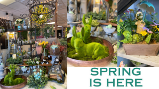 spring season, shop small in missouri, bunnies and birds 
